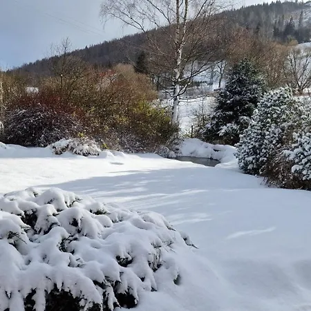 Srubová Tis *